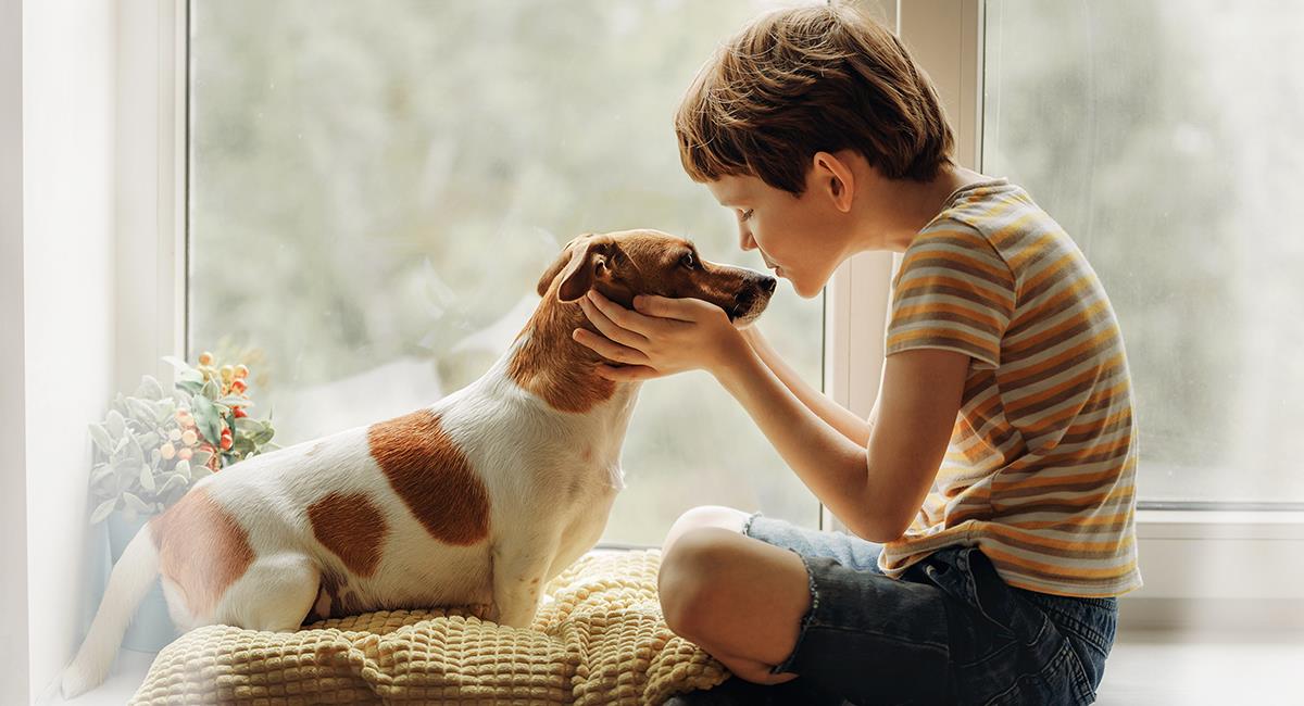 Estudian relación de extraños casos de hepatitis con la presencia de perros. Foto: Shutterstock