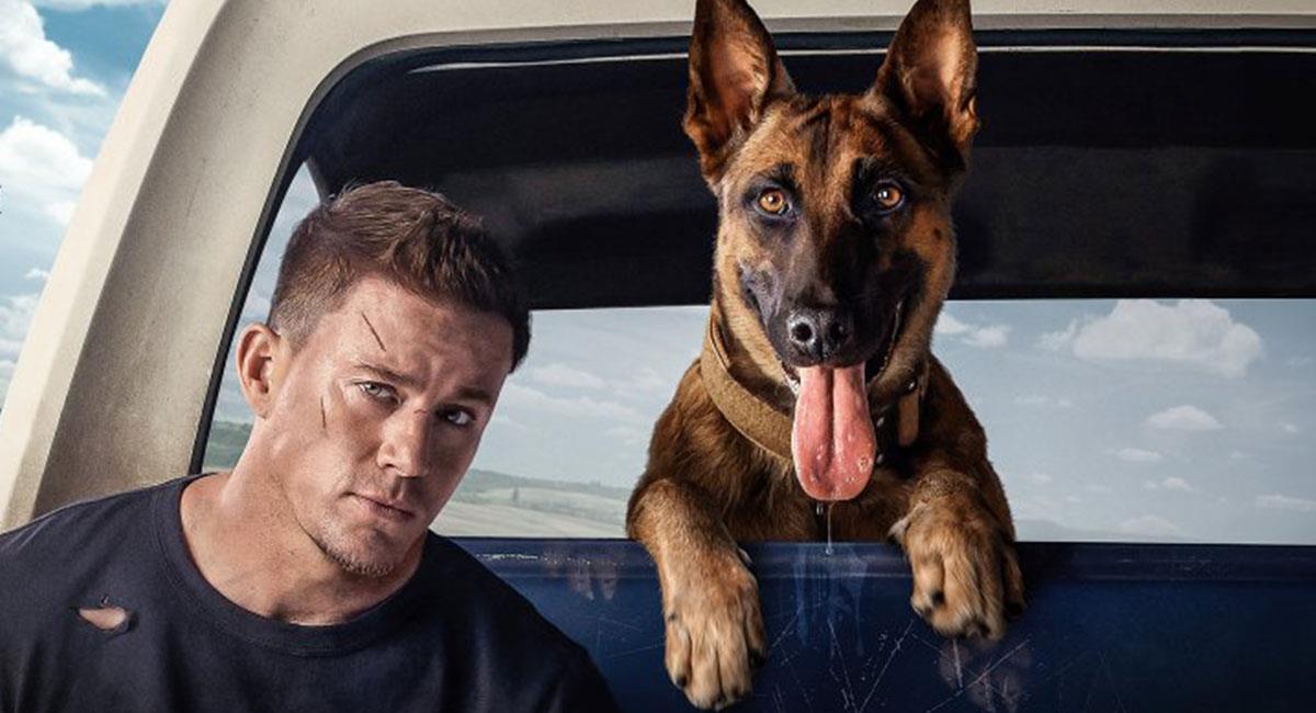 "Dog: Un viaje salvaje" será una delas películas que se estrenen este fin de semana. Foto: Twitter @DogTheFilm