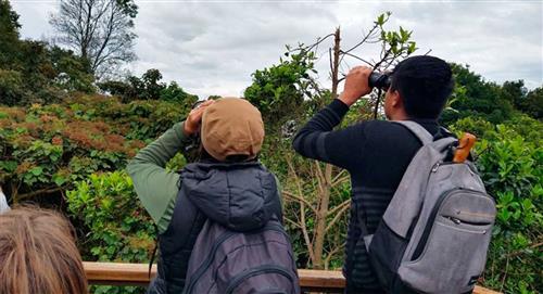 Colombia vuelve a ser campeona mundial en avistamiento de aves
