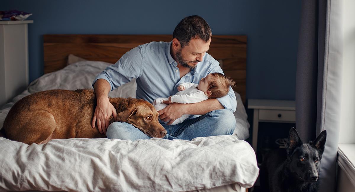 Experta: 7 razones por las que un bebé debería convivir con una mascota. Foto: Shutterstock