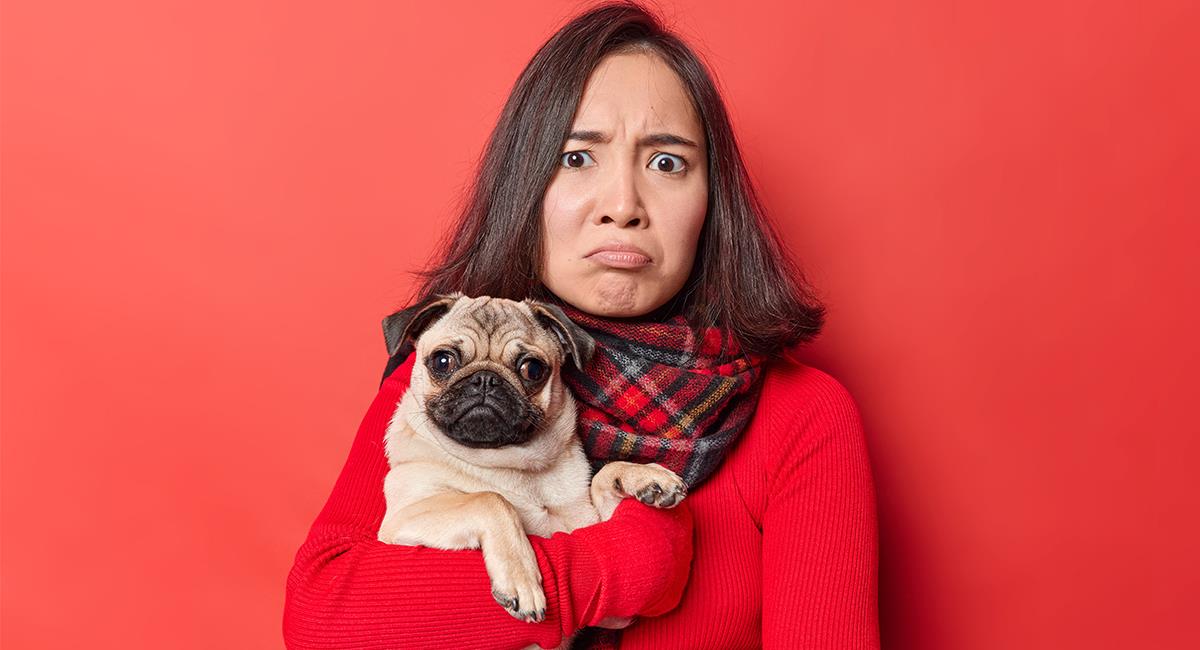 “O el perro o yo”: hombre tuvo que elegir entre su mascota y su novia. Foto: Shutterstock