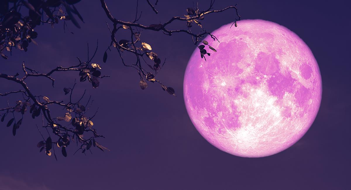 Superluna de fresa: 2 poderosos rituales para atraer el amor a tu vida