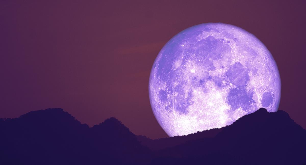 Efectos de la superluna de fresa en el zodiaco: 3 signos que serán beneficiados. Foto: Shutterstock