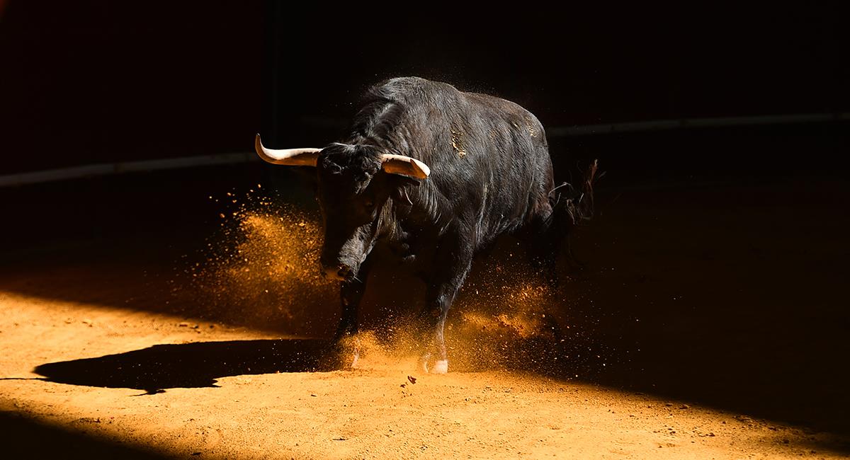 Las corridas de toros continúan: tumba proyecto que buscaba prohibirlas. Foto: Shutterstock