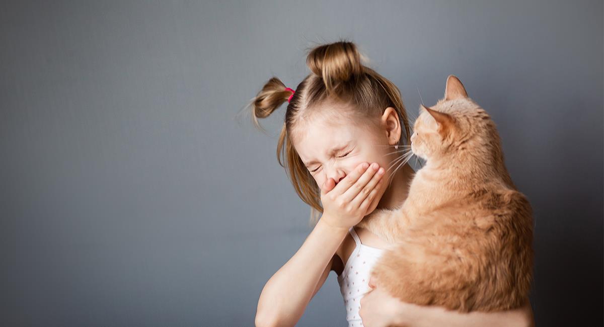 Si tienes alguno de estos 7 síntomas no hay duda, eres alérgico a tu mascota. Foto: Shutterstock