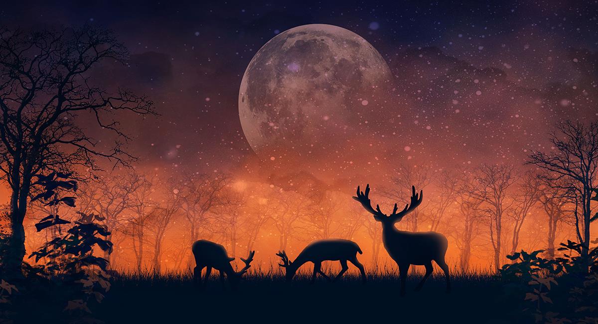 Descubre si eres de las personas que serán afectadas por la Luna de Ciervo. Foto: Shutterstock