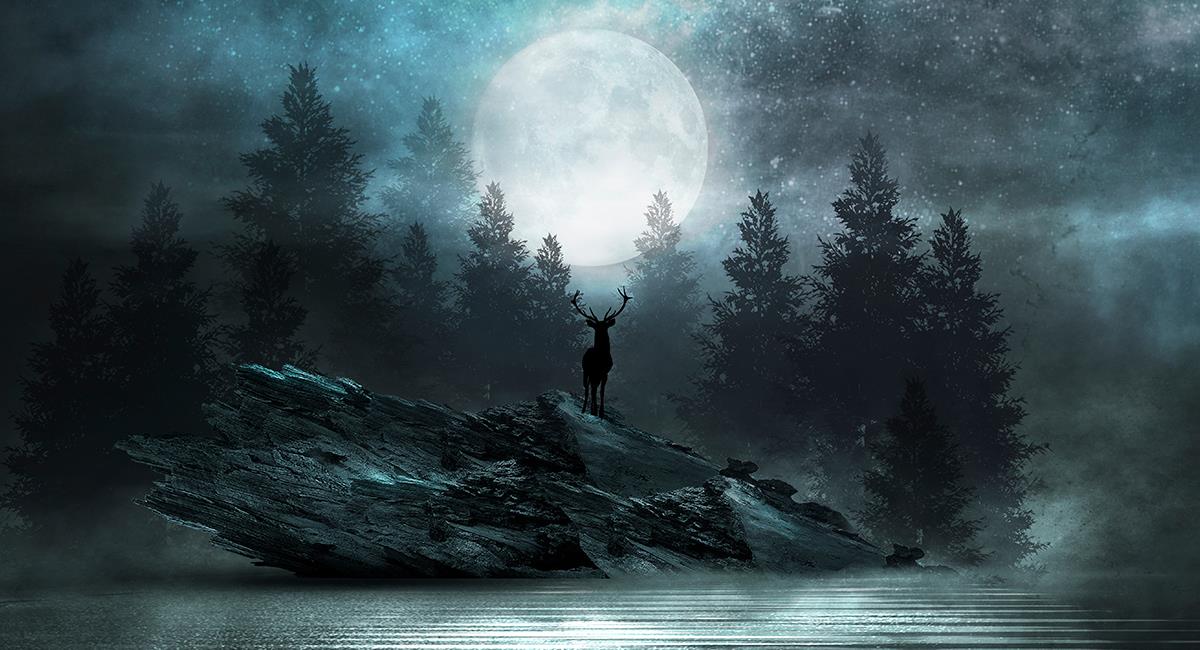 Paso a paso: haz este ritual en la Luna de Ciervo para atraer la buena fortuna. Foto: Shutterstock
