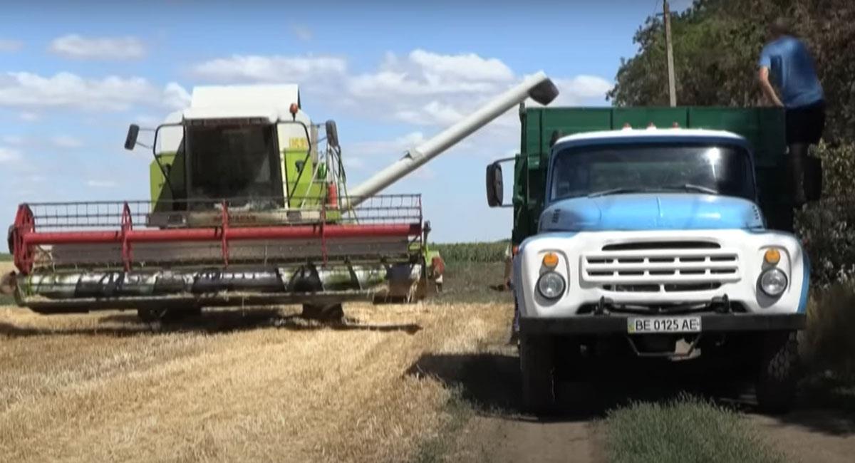 Gran parte del territorio ucraniano está sembrado de diferentes tipos de cereales. Foto: Youtube