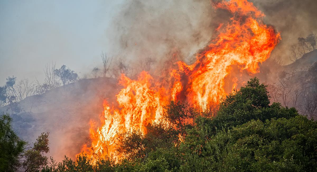 Ten cuidado si soñaste con un incendio: estos son algunos de los motivos. Foto: Shutterstock