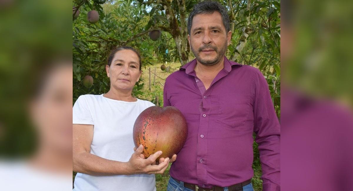Germán Novoa Barrera y Reina María Marroquín, campesinos del municipio de Guayatá, en el departamento de Boyacá. Foto: Instagram guinnessworldrecords