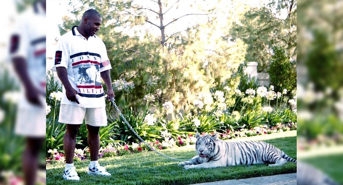 El día en el que Mike Tyson perdió a uno de los tigres que tenía como mascota. Foto: Instagram @miketyson