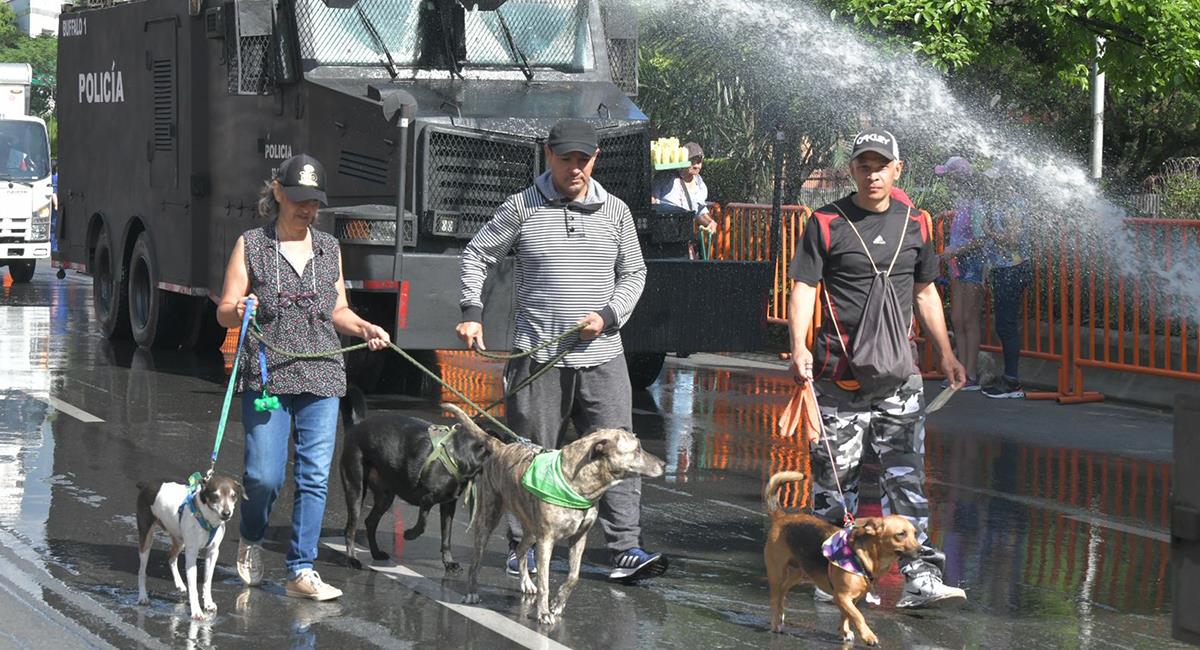 Tanqueta del Esmad roció agua a las mascotas en la Feria de las Flores de Medellín. Foto: Twitter @PoliciaMedellin