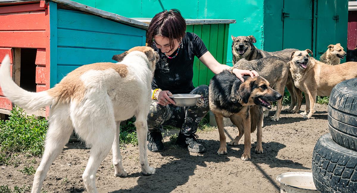 Perros callejeros en México entrenados para cuidar mujeres y adultos mayores vulnerables