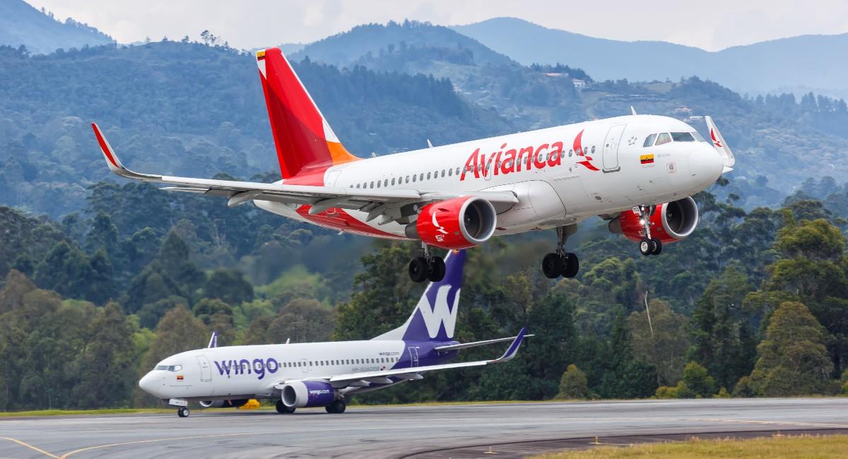 Las multas ascienden por parte de Avianca a 125 salarios mínimos legales vigentes, y a Wingo por 75 SMLV. Foto: Shutterstock