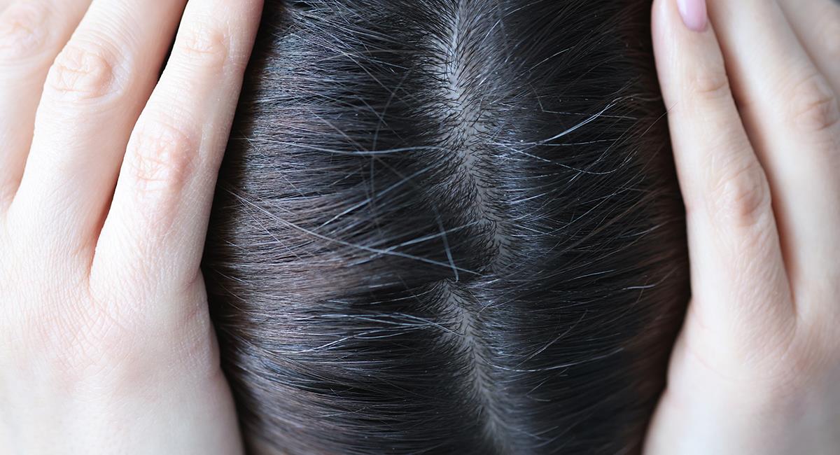 Mascarilla natural para tapar las canas: aprende a prepararla y aplicarla en tu cabello. Foto: Shutterstock