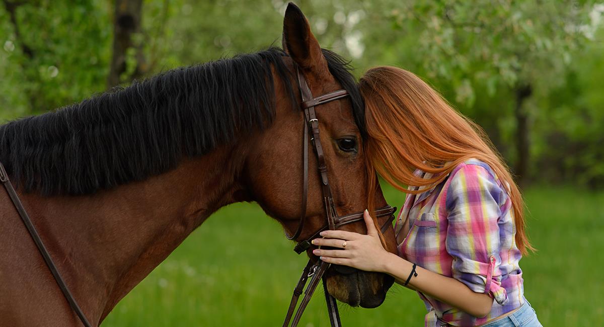 “Me estaba ayudando a sanar”: caballo enternece las redes al consolar a su dueña. Foto: Shutterstock