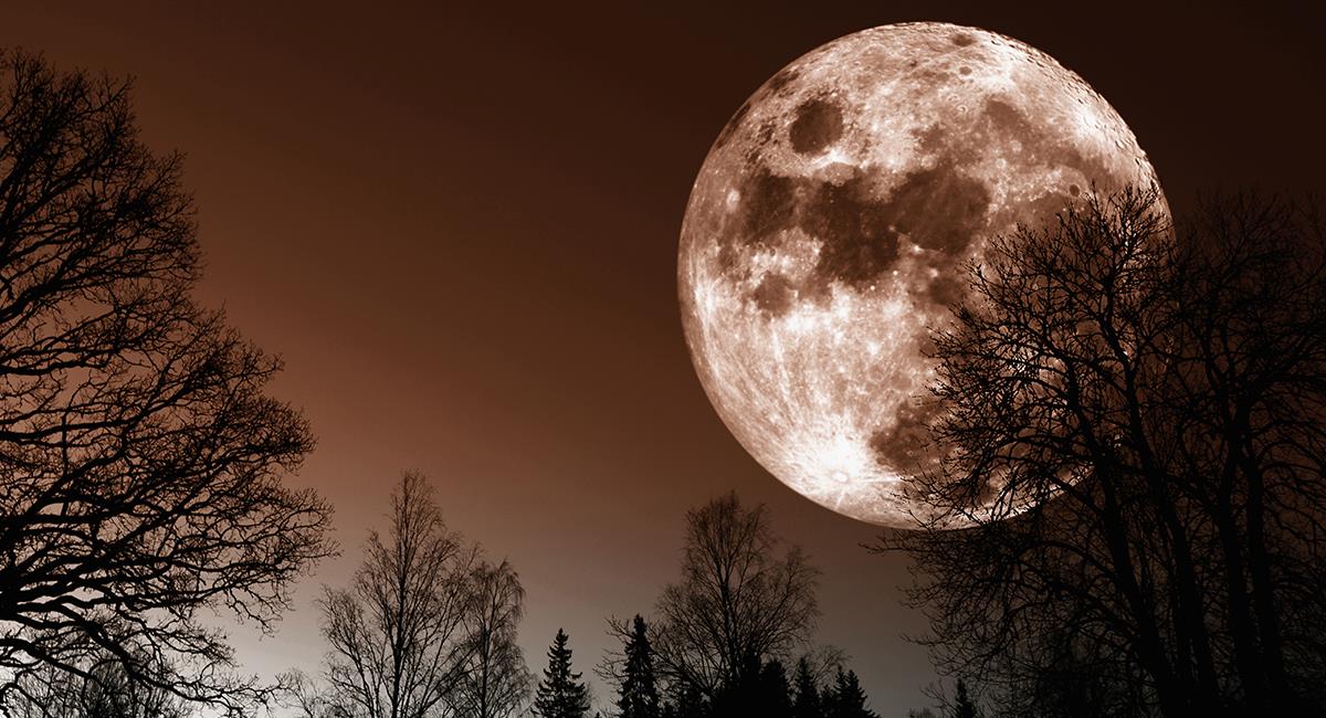Luna llena de Cosecha: 3 signos del zodiaco recibirán todo el impacto. Foto: Shutterstock
