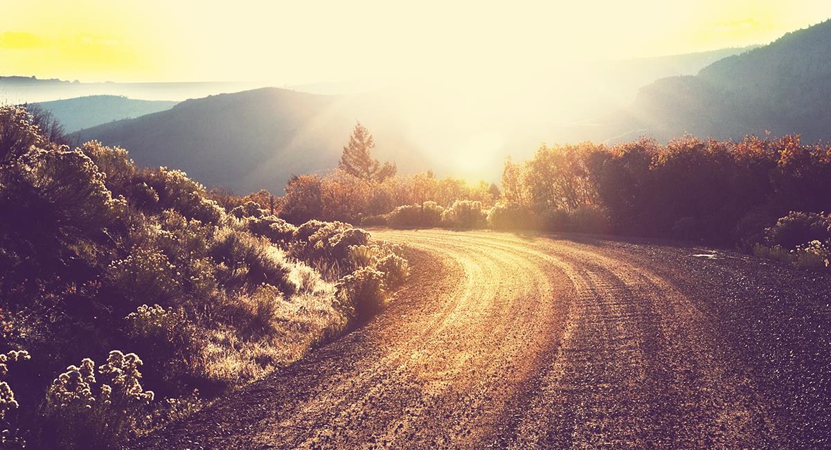 Si no sabes qué camino tomar, reza esta poderosa oración para recibir iluminación. Foto: Shutterstock