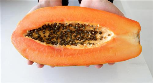 Descubre cuáles son las propiedades de consumir las semillas de papaya en ayunas