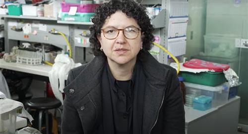 Silvia Restrepo, experta mundial en patología vegetal 