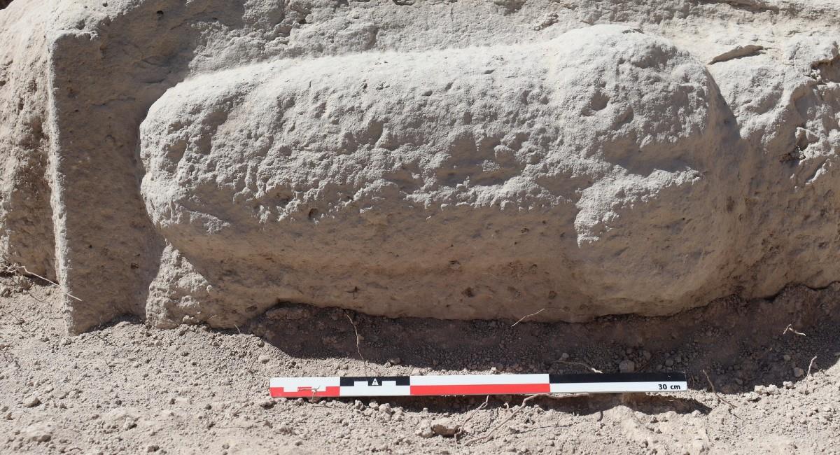 El hallazgo lo hicieron los arqueólogos en El Higuerón, un antiguo yacimiento cercano a la localidad de Nueva Carteya, en Córdoba, España. Foto: Facebook Museo Histórico Local de Nueva Carteya