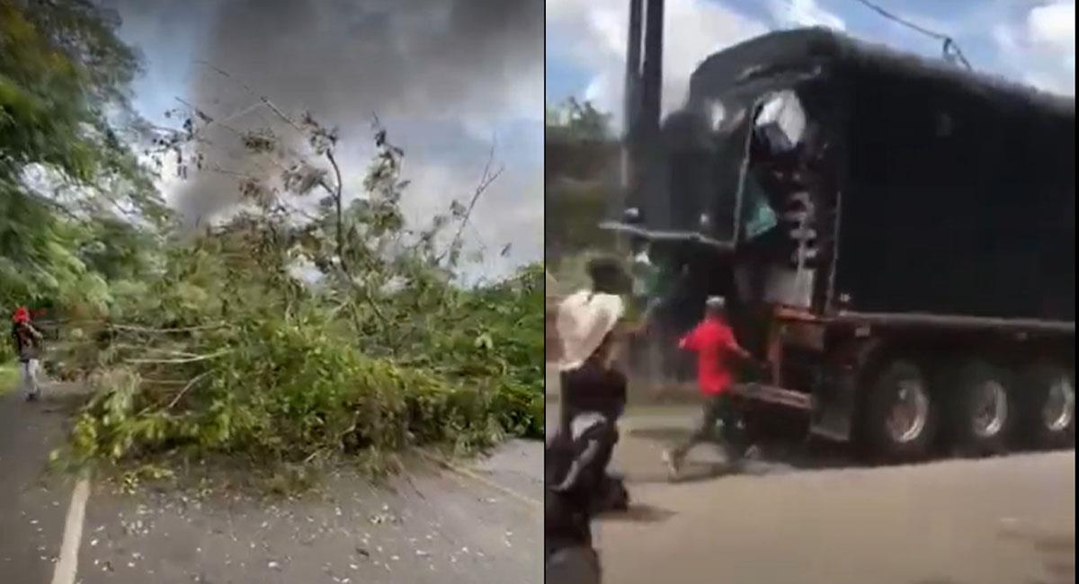 Con árboles atravesados se generaron bloqueos y saqueos en la vía de Cáceres, Antioquia, hacia el mar. Foto: Youtube