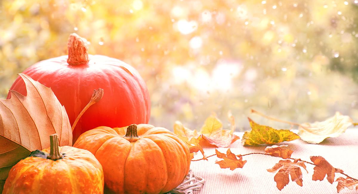 Nuevo mes: estos serán las personas con la mejor racha en octubre. Foto: Shutterstock