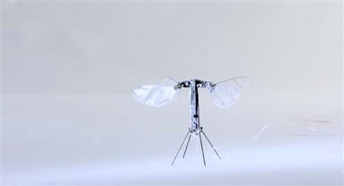 RoboBee el robot insecto capaz de volar 
