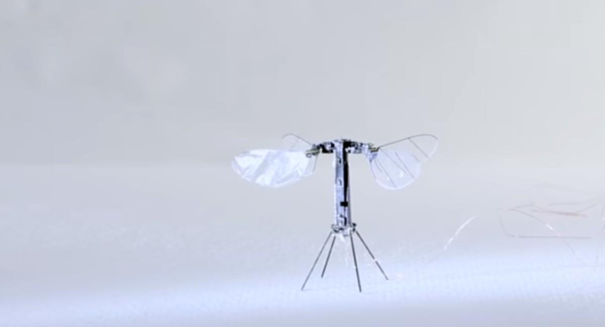 La investigación sobre este prototipo de insecto fue dirigida por expertos de Harvard y publicada en la revista Nature. Foto: Youtube Nature Video