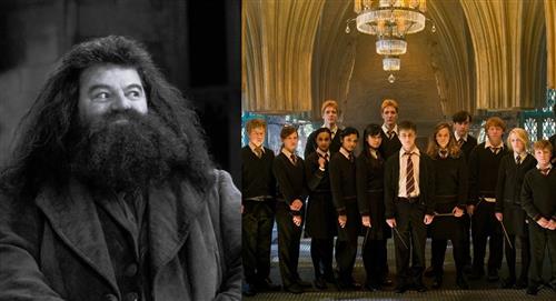 Triste despedida por parte del elenco de Harry Potter al intérprete de Hagrid