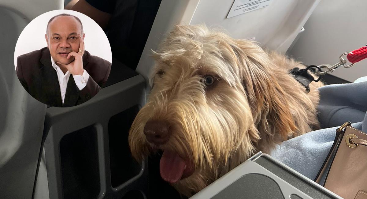Papá de Andrés Colmenares se quejó por un perro en el avión y la dueña lo hizo quedar mal. Foto: Twitter @lcolmenaresr	