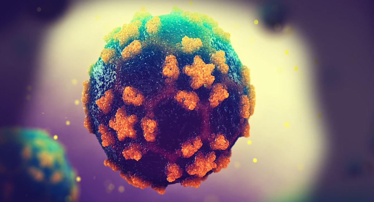 Poliomielitis, enfermedad que puede aquejar a nivel mundial. Foto: Unsplash