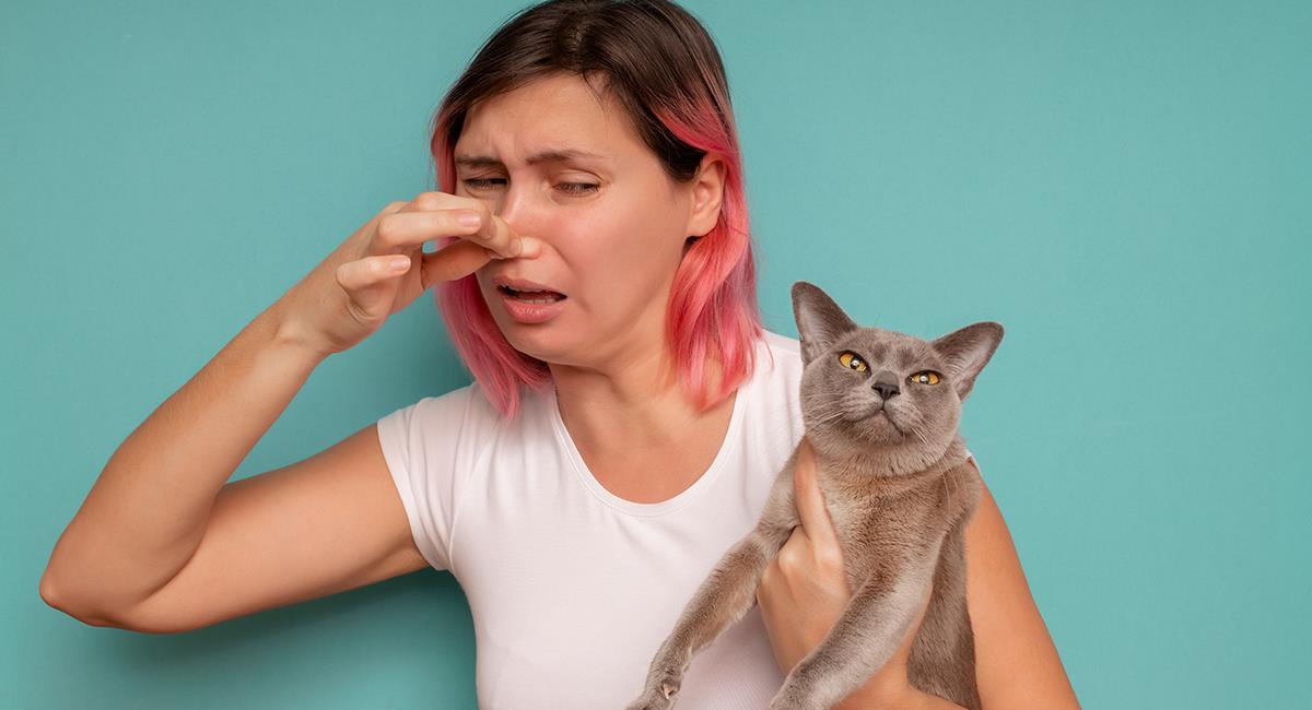 Gato con mal aliento: conoce las causas y cómo puedes evitarlo. Foto: Shutterstock