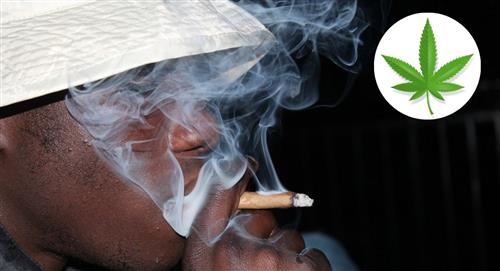 La marihuana daña más los pulmones que el tabaco