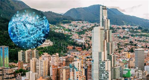 Detectan bacteria multirresistente a varios antibióticos en Bogotá