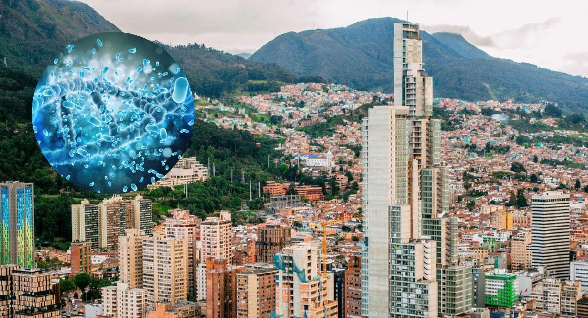 Bacteria multirresistente en Bogotá. Foto: Pixabay