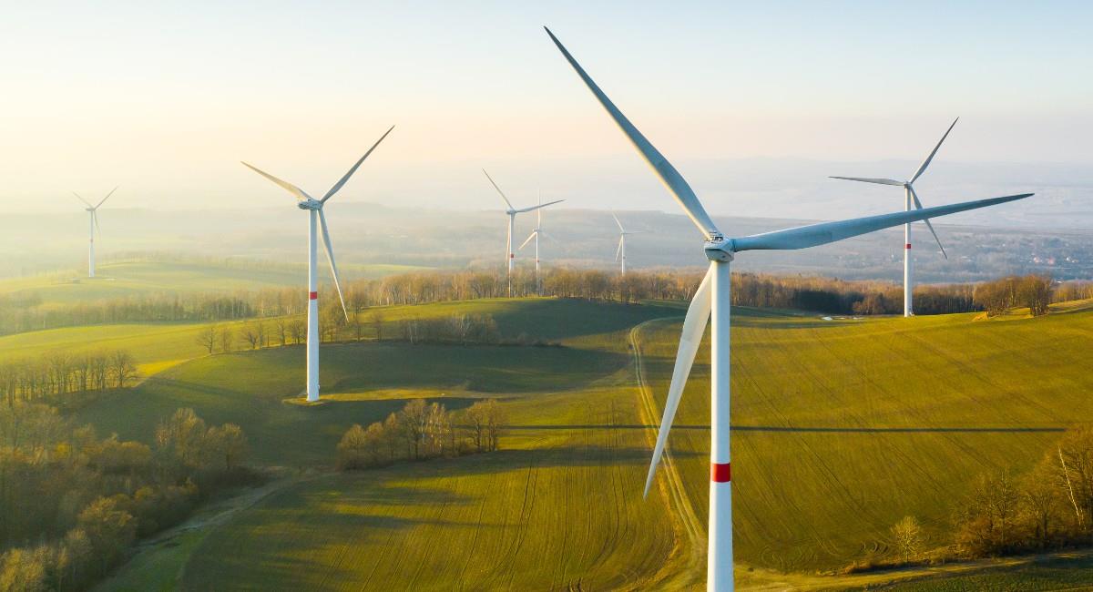 Este proyecto hace parte de la apuesta por elevar el suministro de electricidad generada a partir de fuentes renovables. Foto: Shutterstock
