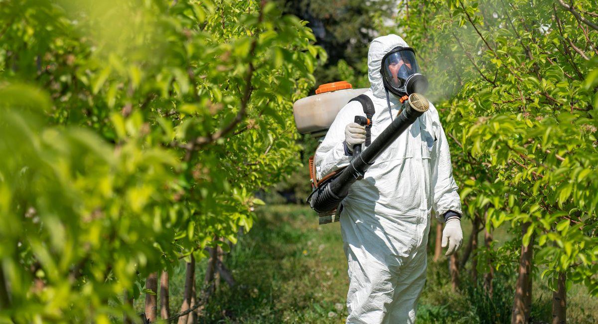 En Colombia no habrá más plaguicidas que contengan clorpirifós. Foto: Shutterstock