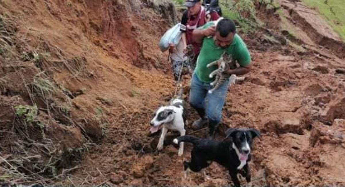 Huyeron de la emergencia con sus mascotas al hombro. Foto: Facebook Noticias Popayán y Cauca