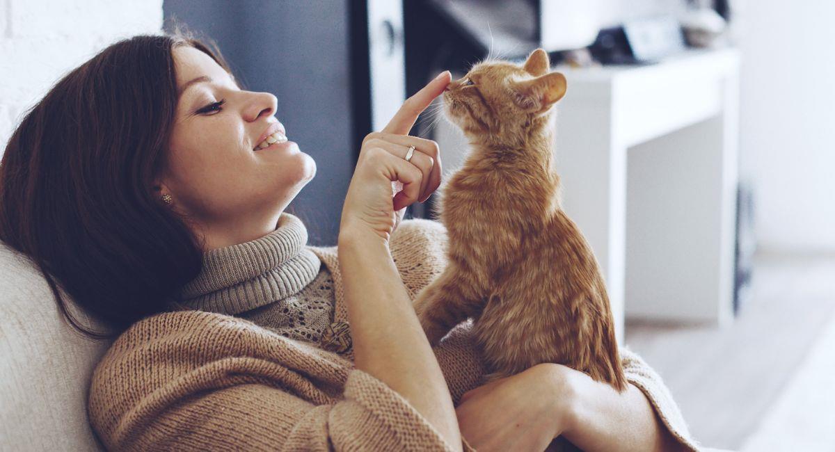 Conoce la aplicación que te permite hablar con tu gato. Foto: Shutterstock