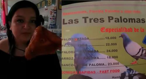 Video: Youtuber mostró supuesto “asadero de palomas” en Bogotá