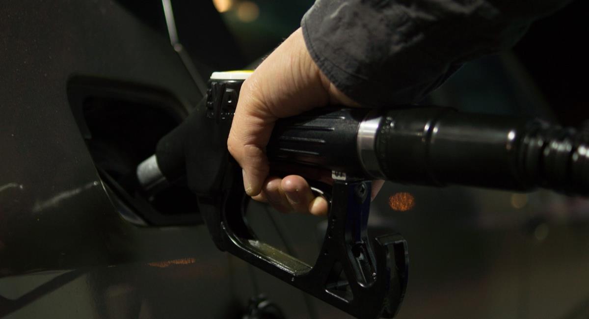 Gobierno anuncia aumento en el precio de la gasolina en febrero. Foto: Pixabay