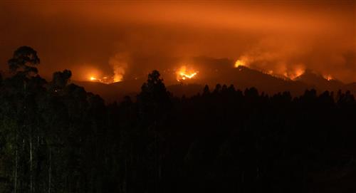 Incendios forestales en Chile ya dejan 24 muertos y 10 detenidos