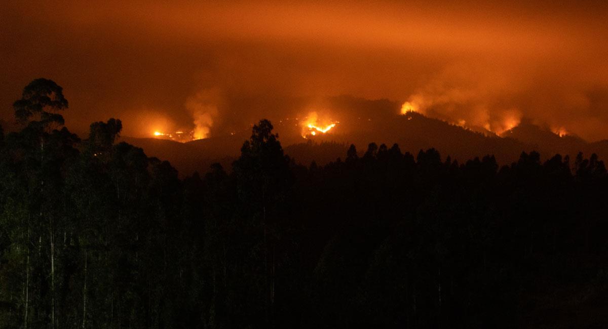 Incendios forestales en Chile. Foto: EFE