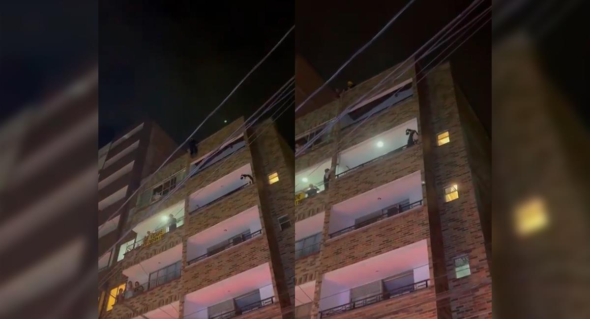 Perro estuvo a punto de caer desde un sexto piso: así fue el angustiante rescate. Foto: Twitter @DenunciasAntio2