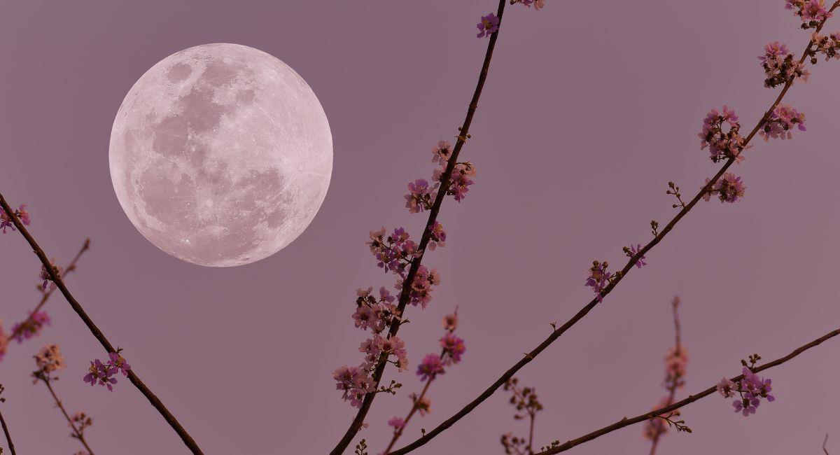 Este mes sucede la luna llena de nieve. Foto: Shutterstock