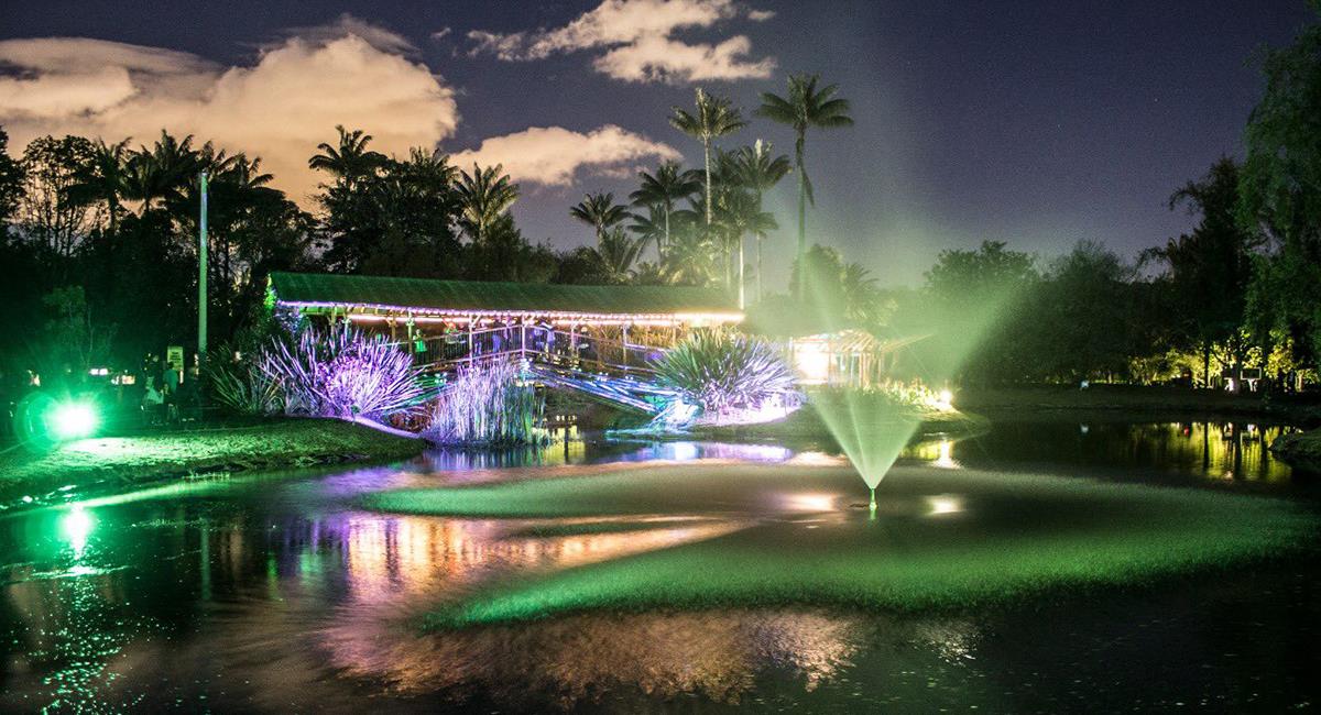 Regresa el Jardín Botánico de noche con entrada gratuita: estos son los horarios. Foto: Twitter @Ambientebogota