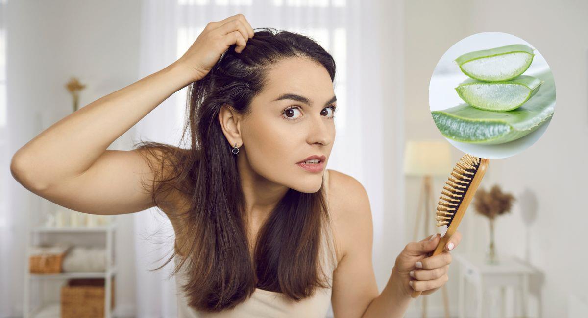 ¿Quieres tener un cabello fuerte y libre de caspa? Usa este champú casero. Foto: Shutterstock