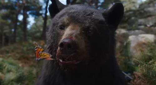 "Cocaine Bear", la película más bizarra que verás en este 2023