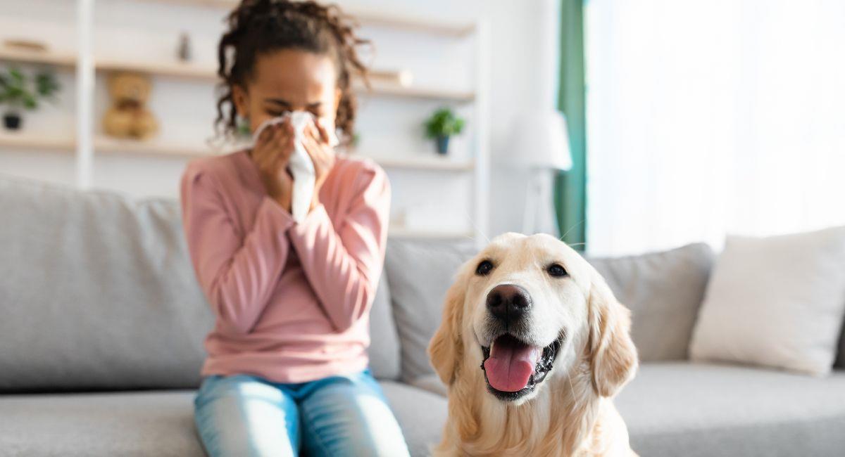 Perros pueden detectar con el olfato estas enfermedades. Foto: Shutterstock